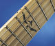 PRS Johnny Hiland Model